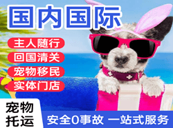 宝安空运国际宠物托运 【国